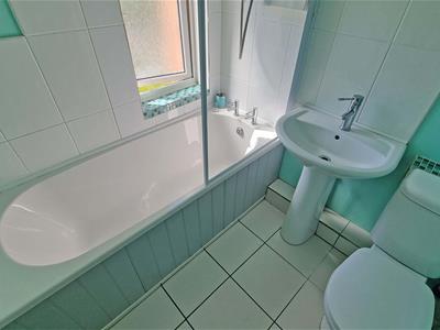 Picture 7